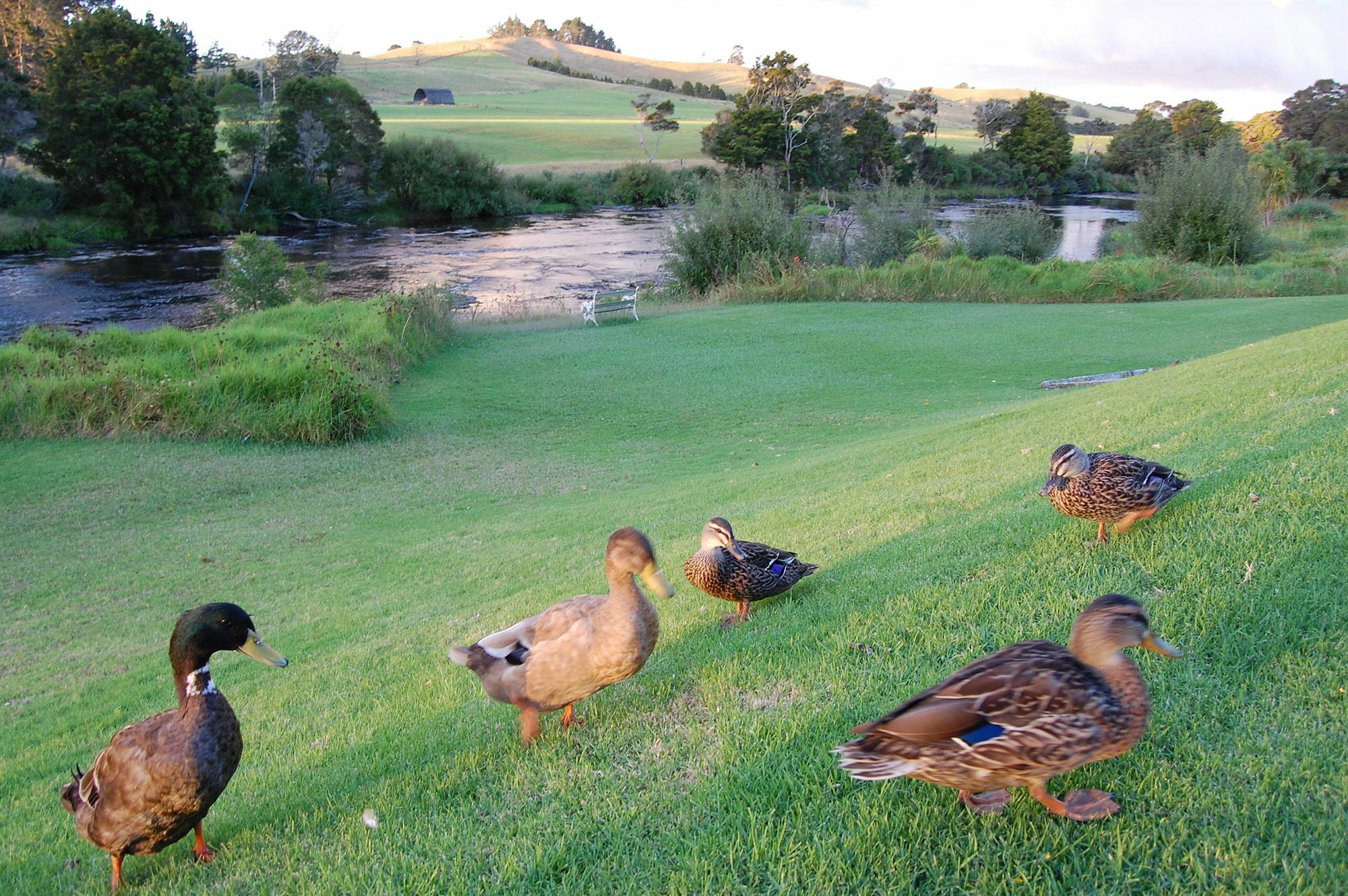 Te Awa Lodge Paihia Zewnętrze zdjęcie