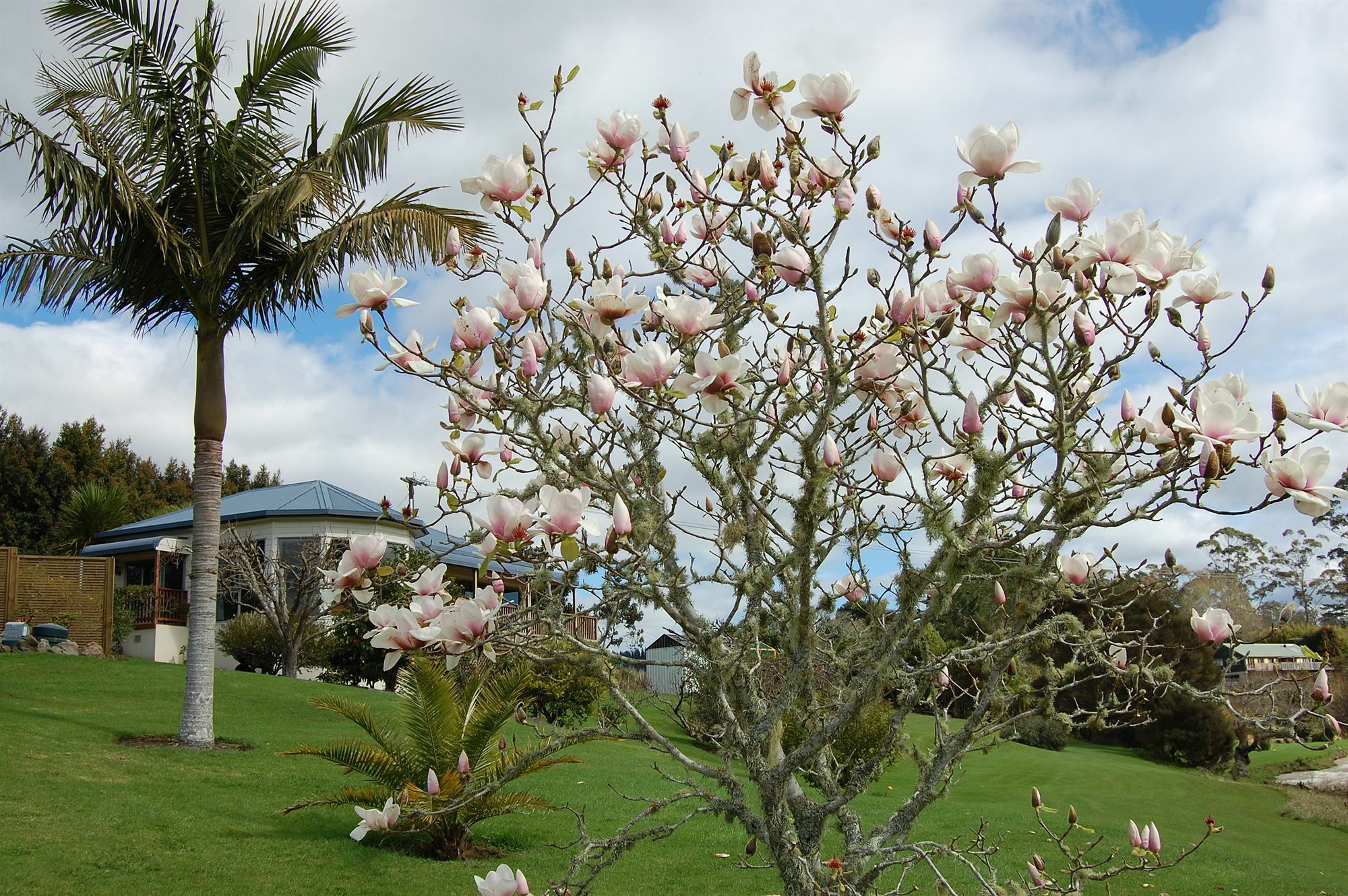 Te Awa Lodge Paihia Zewnętrze zdjęcie